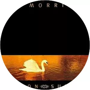 Avalon Sunset - Studio album by Van Morrison