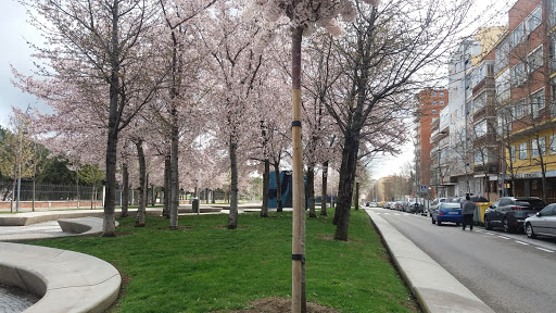 Avda Portugal Garden