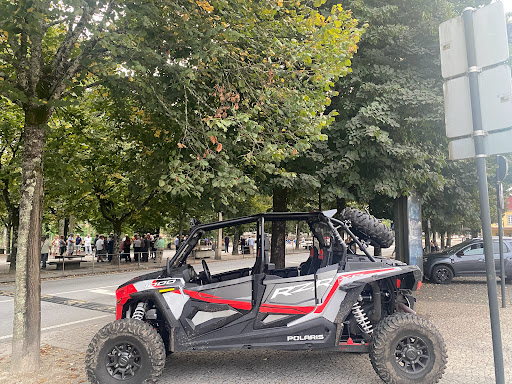 Avelino Pereira Fernandes - 