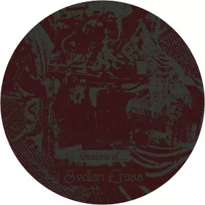 marshstepper avellan cross