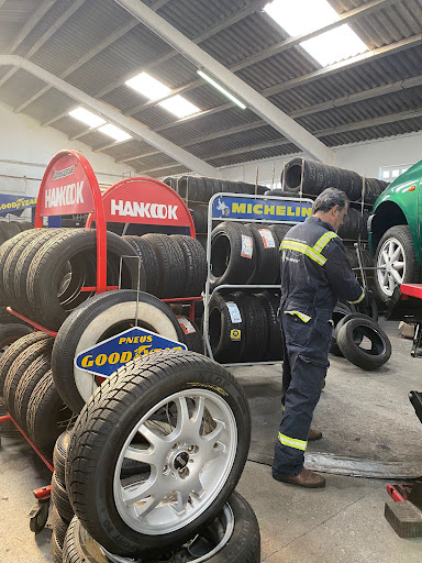 Aventura Ancestral Pneus - Tire shop in Viana do castelo, Portugal