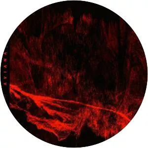 wisp x aviana - Musical band