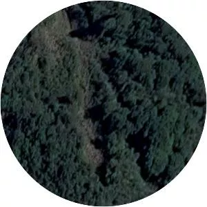 Aviateca Flight 901 - Accident