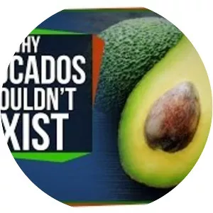 Avocado - Fruit