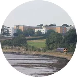 Avocet Line - Railway