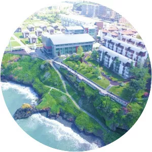 Avrasya University - Private university in Trabzon