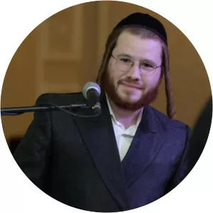 Avrumi Berko - Musical artist