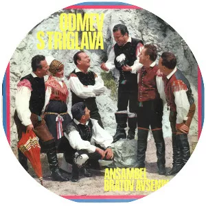 Avsenik Brothers Ensemble - Musical band