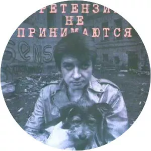 Avtomaticheskie udovletvoriteli