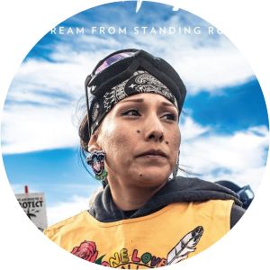 Awake, A Dream From Standing Rock