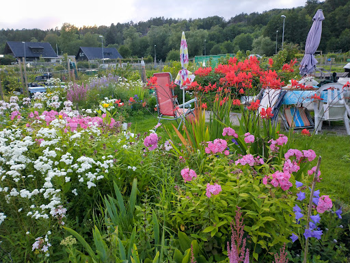 Axgatan Odlingslotter - Garden in Molndal, Sweden