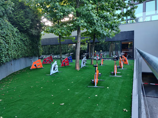 Axis Wellness Fitness