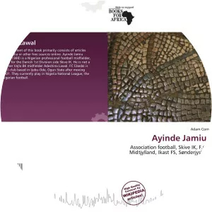 Ayinde Jamiu Lawal