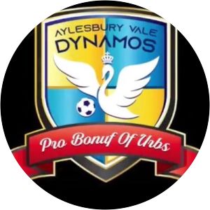 Aylesbury Vale Dynamos F.C. - Football club