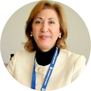 Ayşe Gülsün Bilgehan