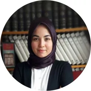 Aysegul Sahin - Economist
