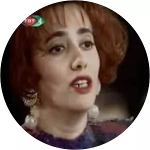 Aysun Gültekin - Musician