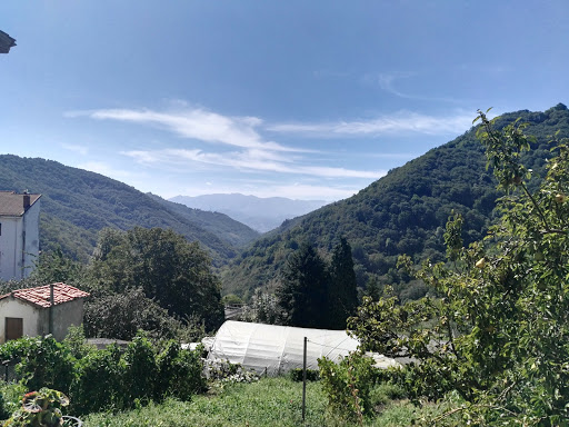 Ayuntamiento de Mieres