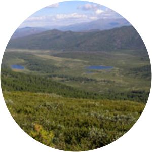 Azas Nature Reserve - 