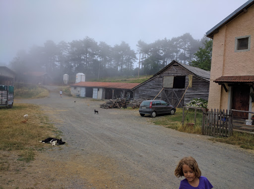 Azienda Agricola I Piani - Farmstay in Italy