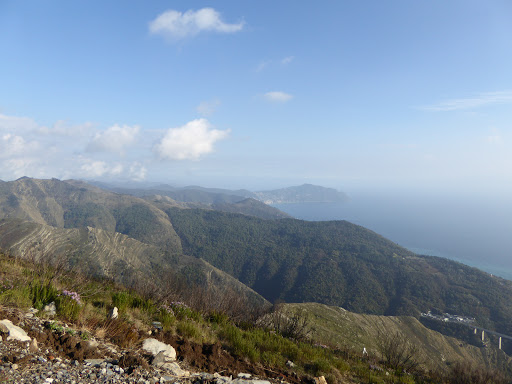 Azienda Agricola Monte Fasce