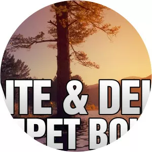 B3nte & Delon - Musical artist