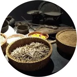Bảo tàng nước mắm Làng Chài Xưa - Fish Sauce Museum