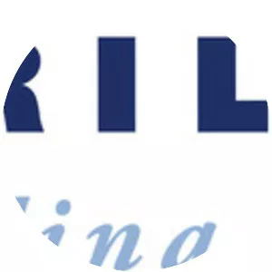 B. Riley Financial Inc.