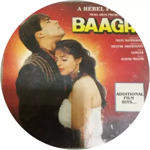 Baaghi: A Rebel for Love