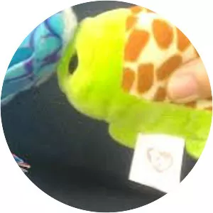 Babcock Ranch Eco Tours - 