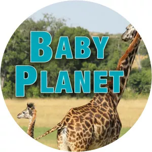 Baby Planet2008 – 2009