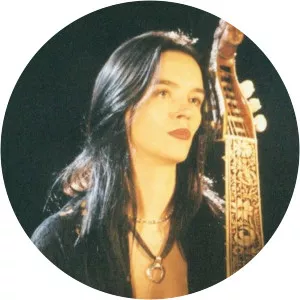 Bach: The Brandenburg Concertos photograph