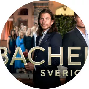 BachelorSince 2015