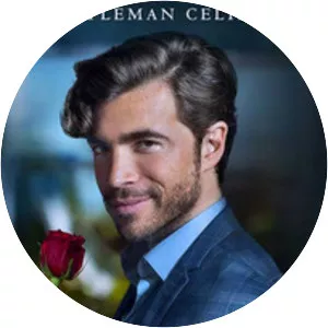 Bachelor, le gentleman célibataire - TV series