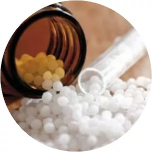 Bachelor of Homeopathic Medicine and Surgery