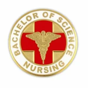 Bachelor of Science in Nursing