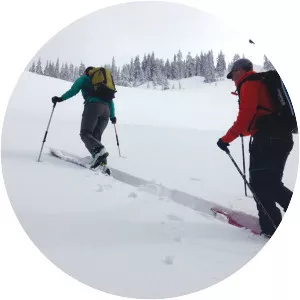 Backcountry skiing - Sport