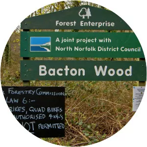 Bacton Wood - 