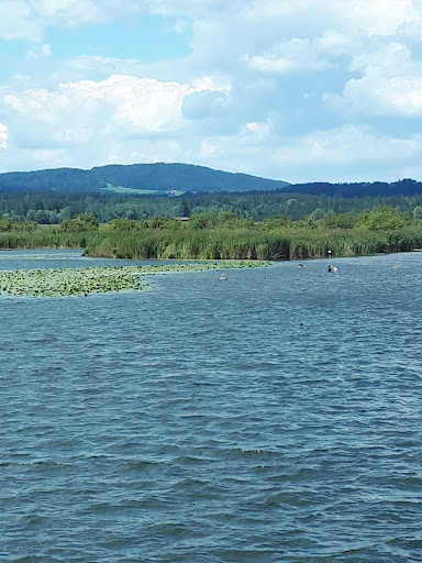 Bad Alpenblick photograph