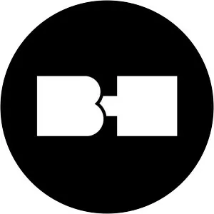 Bad History - Musical artist