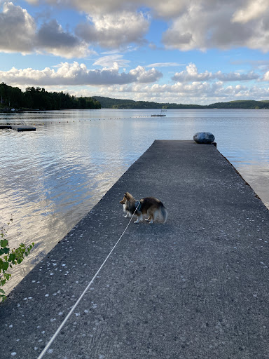 Badbryggornas Badplats - Outdoor bath in Sweden
