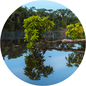 Bahuaja-Sonene National Park