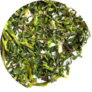 Bai Huiming photograph