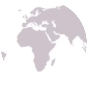 Baird's beaked whale photograph