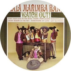 Baja Marimba Band