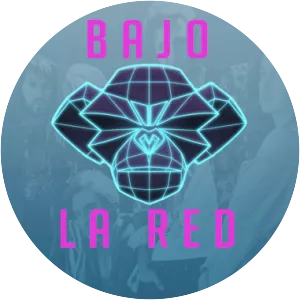 Bajo la red
