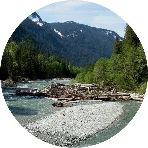 Baker River - Tributary in Washington