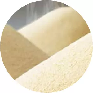 Baker's yeast - Food additive