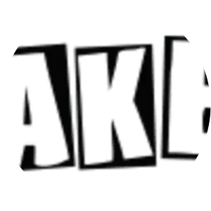 Baker Skateboards - Company