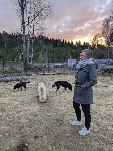 Bakken Hundesenter - Dog day care center in Norway